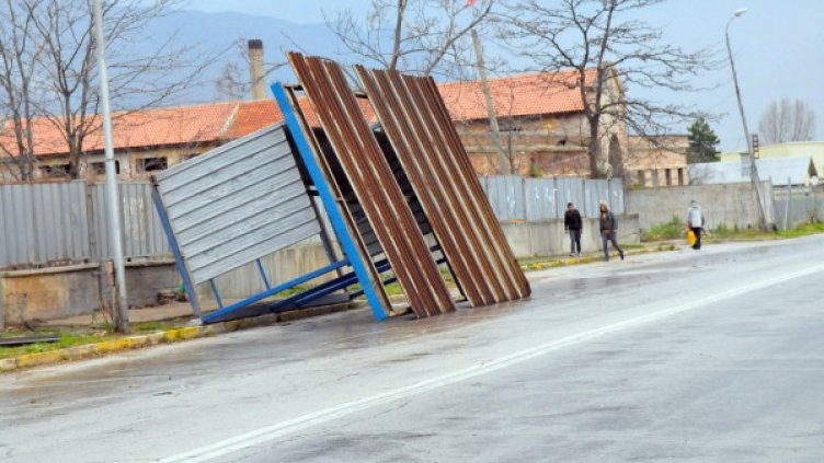 Снимка: архив Булфото