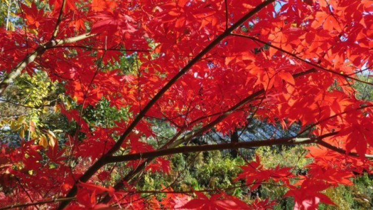 Снимка: Facebook