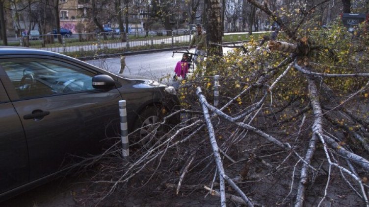 Снимка: Булфото