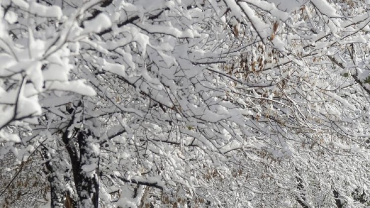 Снимка: архив, Ройтерс