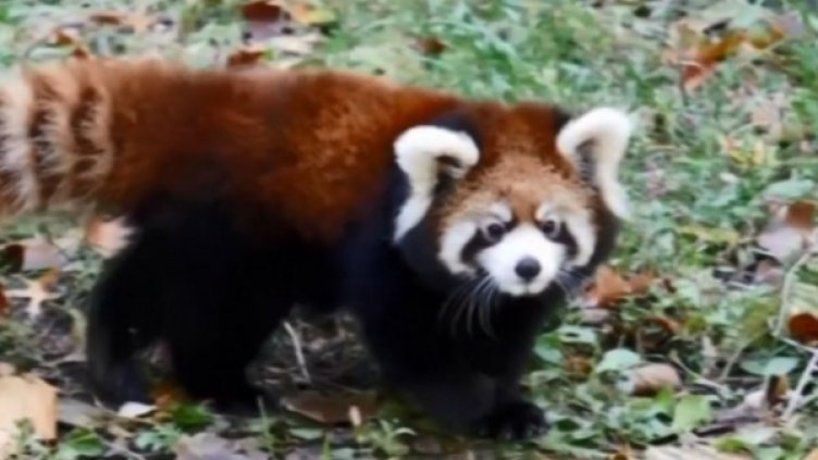 Снимка: bgonair.bg