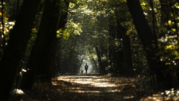 Снимка: Архив Reuters