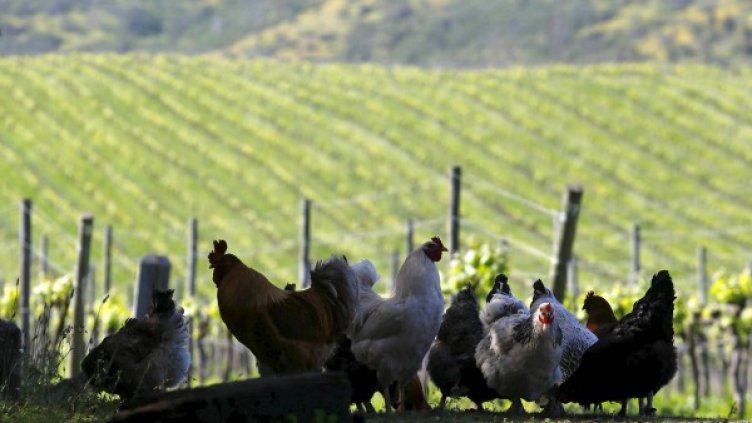 Снимка: Reuters