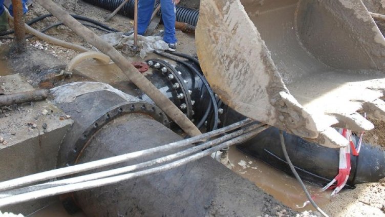 Архив: Булфото