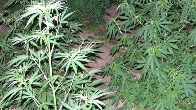 Архив: Булфото