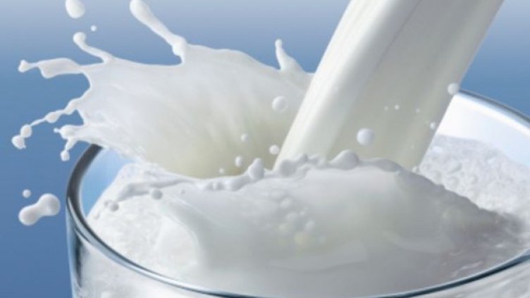 Млякото – ценна храна за млади и стари
