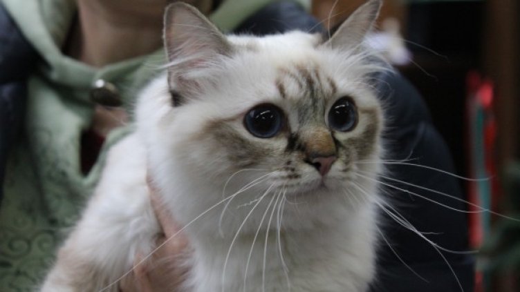 Снимка: Dnes.bg