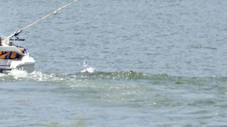 Снимка: архив, БулФото