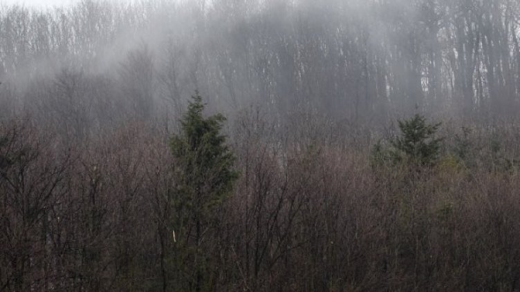 Снимка: архив, Reuters