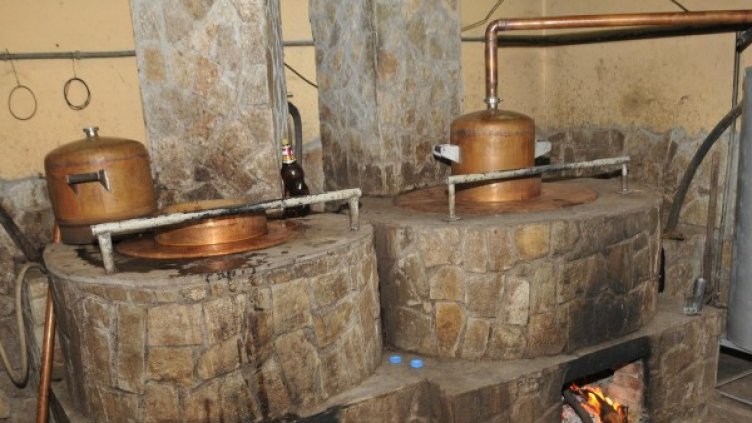 Снимка: Булфото, ахрив