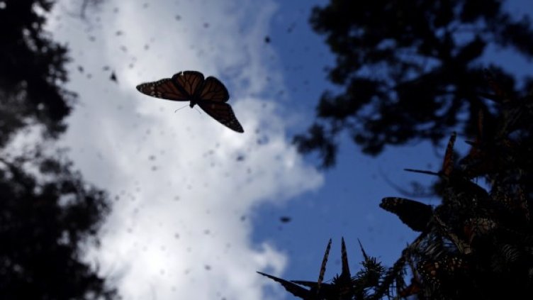 Снимка: архив Reuters