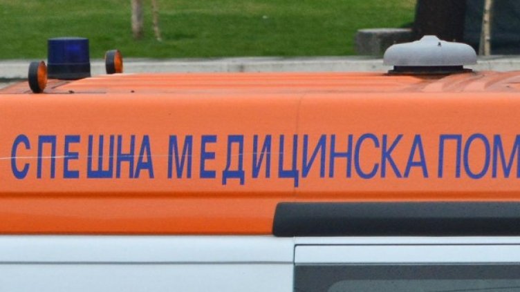 Снимка: Булфото