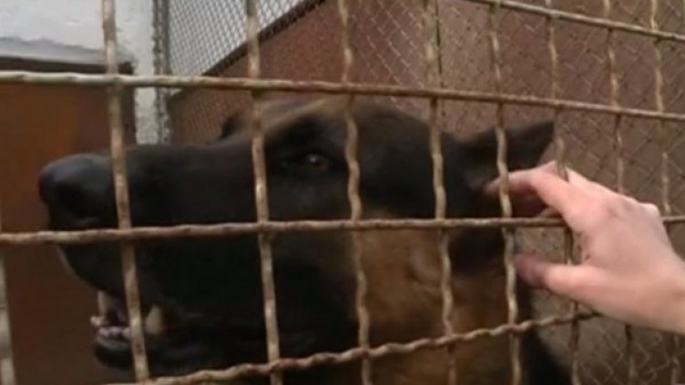 Снимка: Нова тв