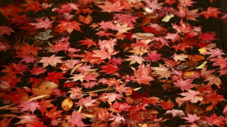 Снимка: архив Reuters