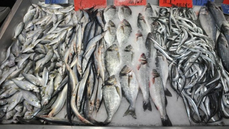 Снимка: Булфото, архив