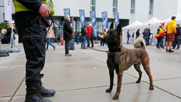 Още 2-ма арестувани за терор в Брюксел