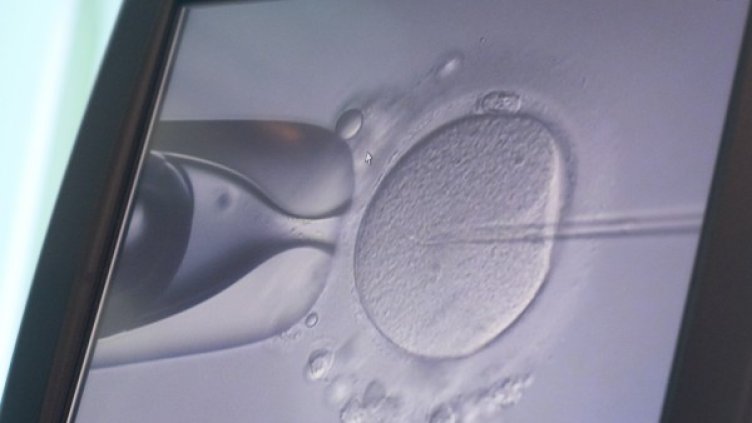 Снимка: Reuters, архив