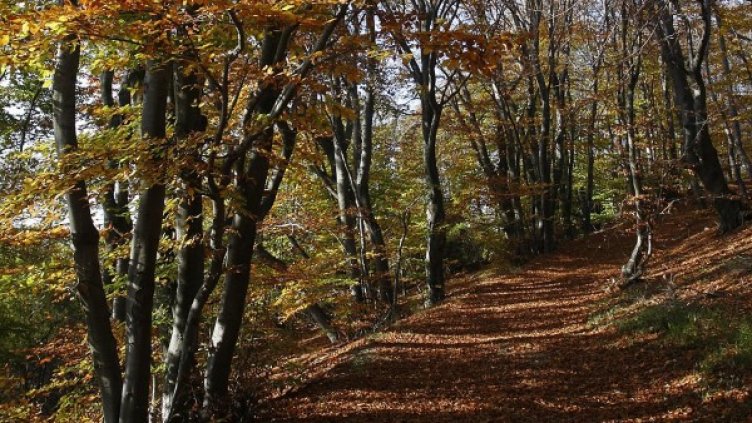 Снимка: БТА, архив