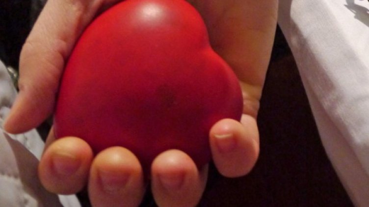 Снимка: Булфото, ахрив