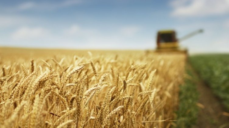 Сделките със земя изместват кредитирането