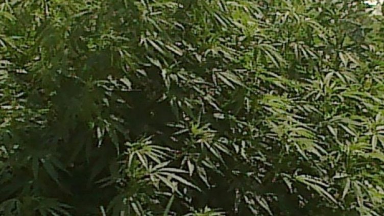 Снимка: архив, Булфото