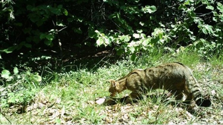 Снимка: МОСВ