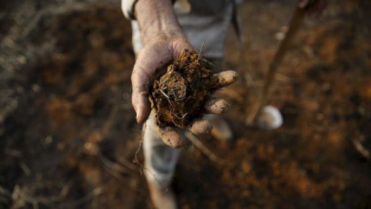 Снимка: Reuters, архив