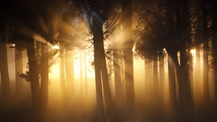 Седмицата си отива мъглива, но сравнително топла