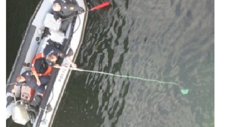 Снимка: Twitter
Снимка: Twitter