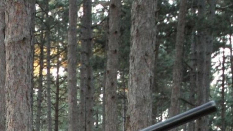 Снимка: архив, Булфото