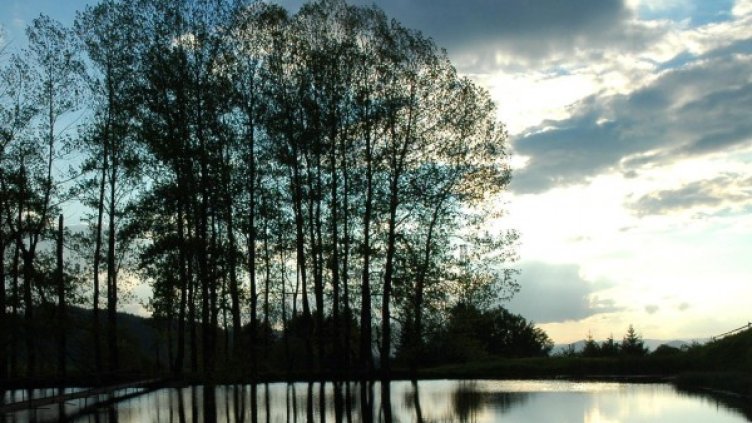 Архив: Булфото