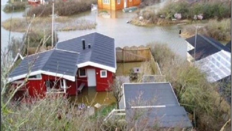 Снимка: Twitter