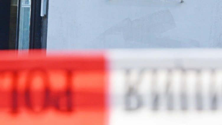 Снимка: архив Булфото