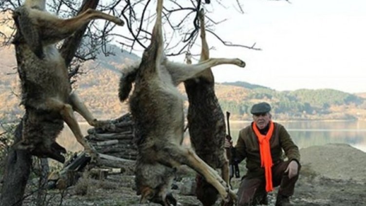 Снимка: "24 часа"