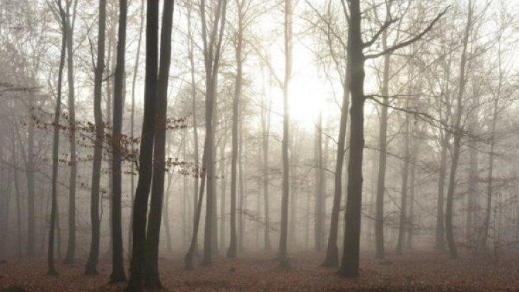 Снимка: архив, Булфото