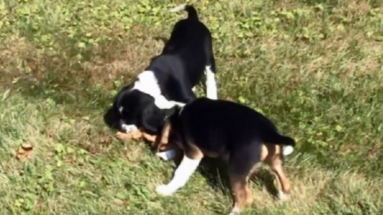 Снимка: bgonair.bg