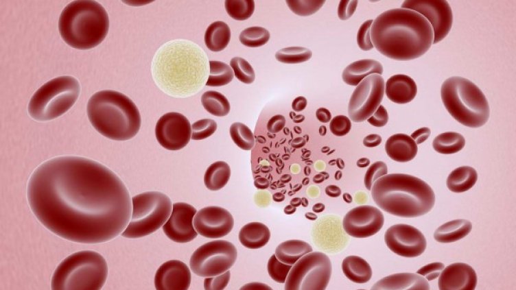 Снимка: freeimages.com