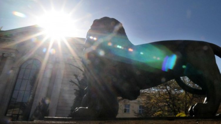 Снимка: архив Булфото