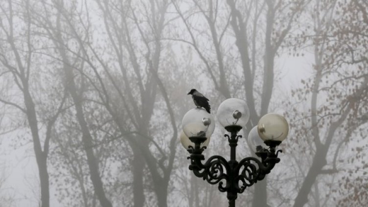 Снимка: архив, Ройтерс