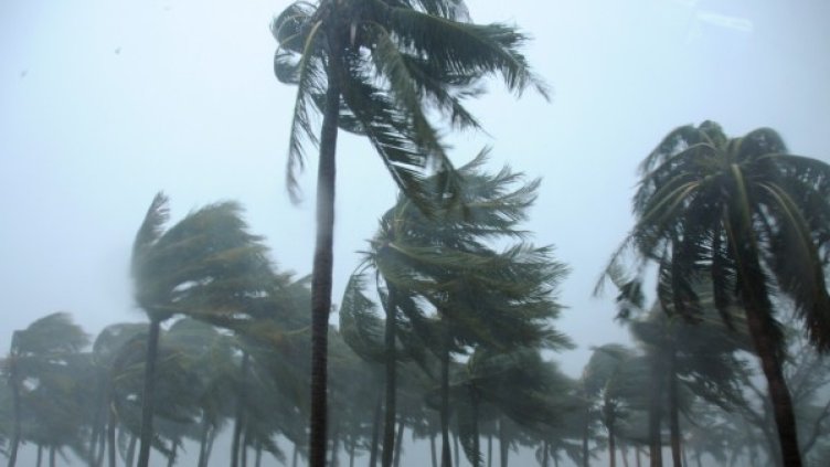 Снимка: Reuters, архив