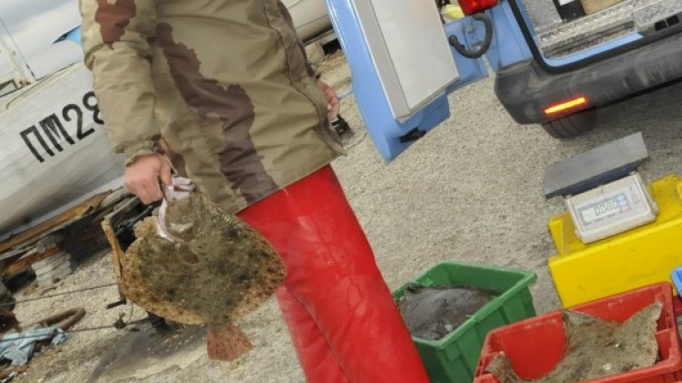 Снимка: архив, Булфото