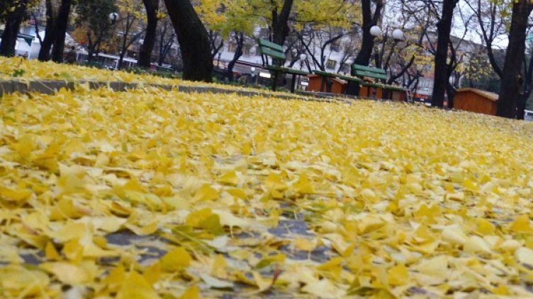 Снимка: БТА, архив