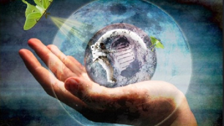 Снимка: flickr