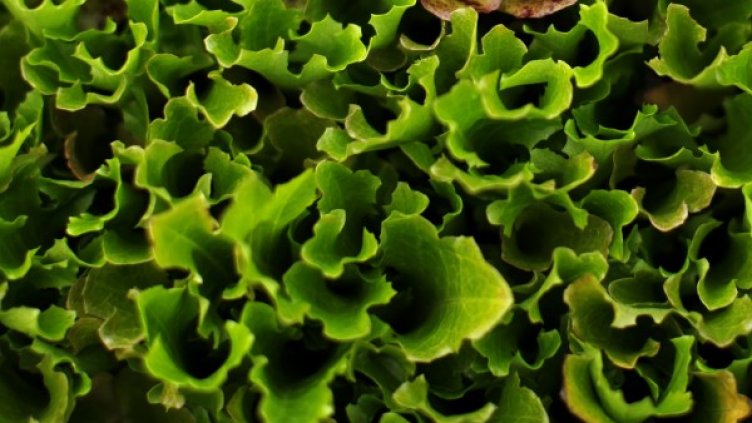 Снимка: Reuters, архив