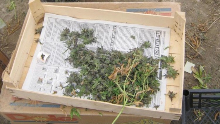 Снимка: Булфото, архив