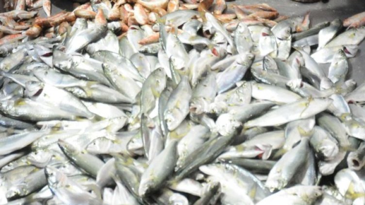 Архив: Булфото