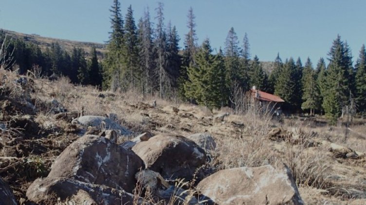 Снимка: Булфото