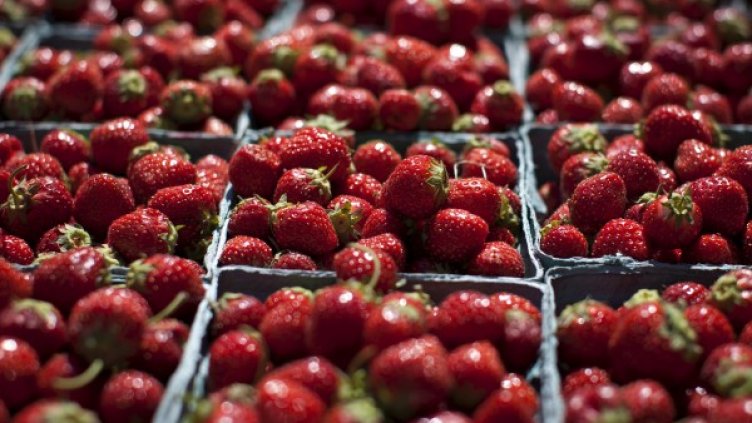 Снимка: архив, Ройтерс