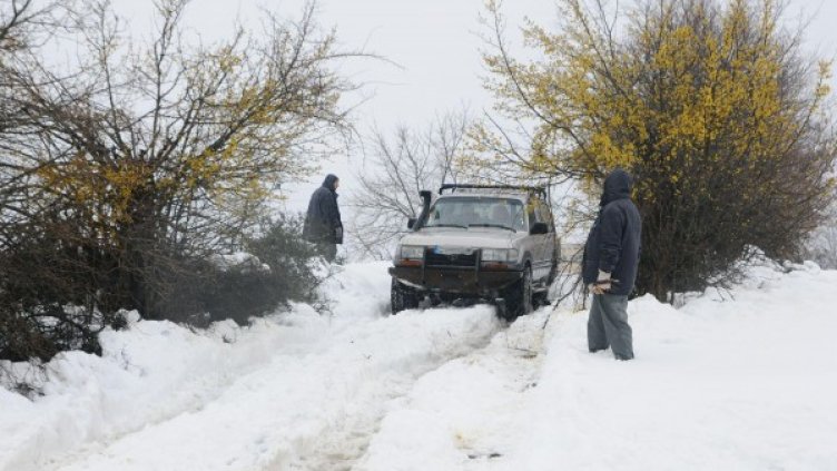 Снимка: Булфото