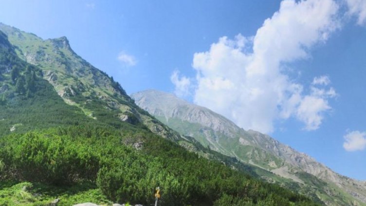 Снимка: Архив Bulphoto